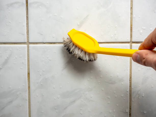 Best Kitchen Mold Remediation in Mount Morris, MI