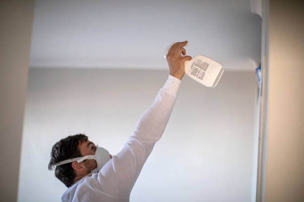 Best Localized Mold Remediation (e.g., coastal areas, humid climates) in Mount Morris, MI